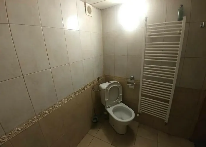 Rooster House 호텔